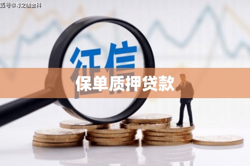 固始保单质押贷款