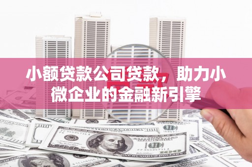 固始小额贷款公司贷款，助力小微企业的金融新引擎