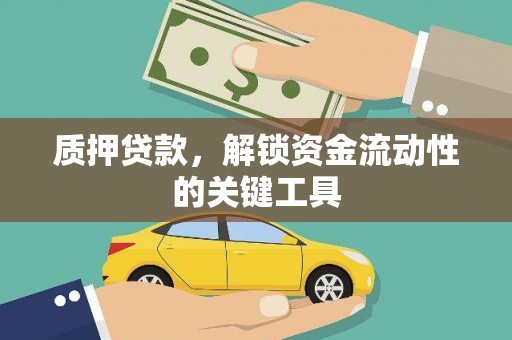 固始质押贷款，解锁资金流动性的关键工具