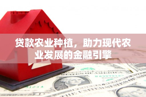 固始贷款农业种植，助力现代农业发展的金融引擎