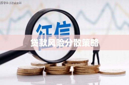 固始贷款风险分散策略