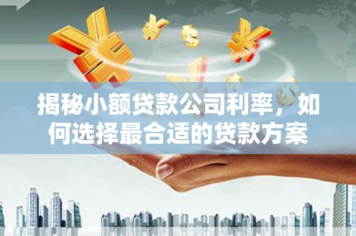 固始揭秘小额贷款公司利率，如何选择最合适的贷款方案