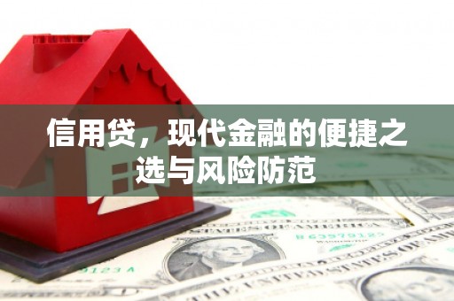 固始信用贷，现代金融的便捷之选与风险防范