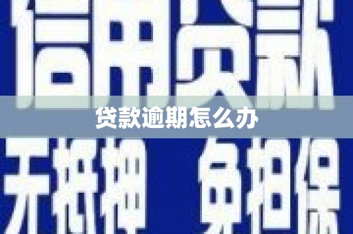 固始贷款逾期怎么办