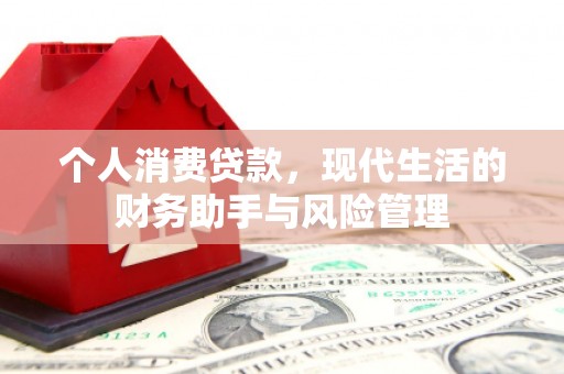 固始个人消费贷款，现代生活的财务助手与风险管理