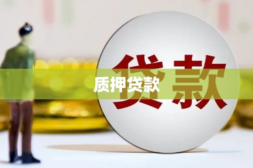 固始质押贷款