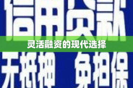 固始灵活融资的现代选择
