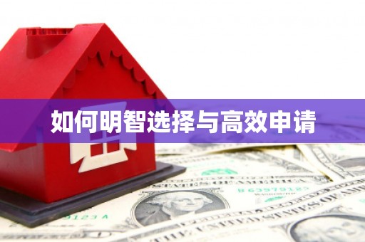 固始如何明智选择与高效申请