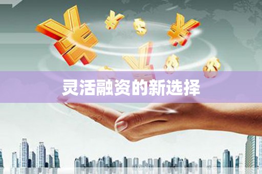 固始灵活融资的新选择