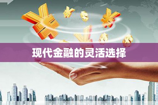 固始现代金融的灵活选择