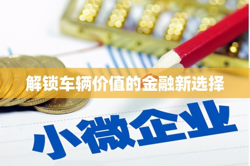 固始解锁车辆价值的金融新选择
