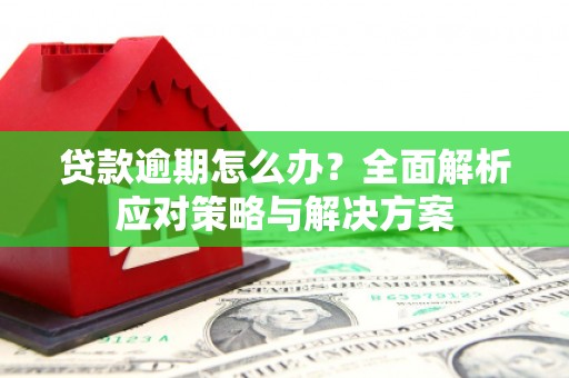 固始贷款逾期怎么办？全面解析应对策略与解决方案