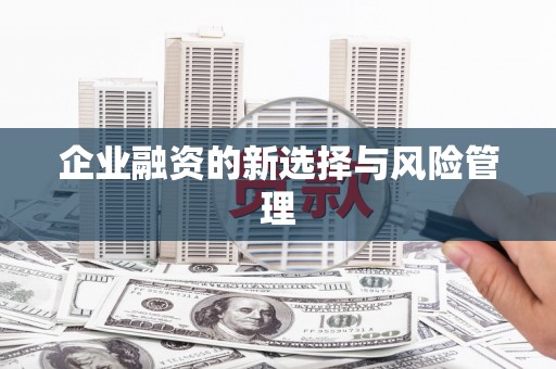 固始企业融资的新选择与风险管理