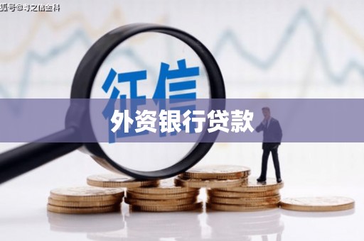 固始外资银行贷款