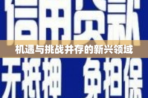 固始机遇与挑战并存的新兴领域