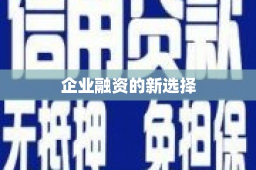 固始企业融资的新选择