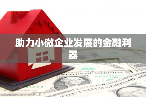 固始助力小微企业发展的金融利器
