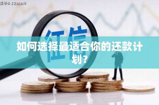 固始如何选择最适合你的还款计划？