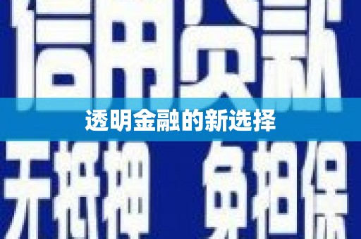 固始透明金融的新选择
