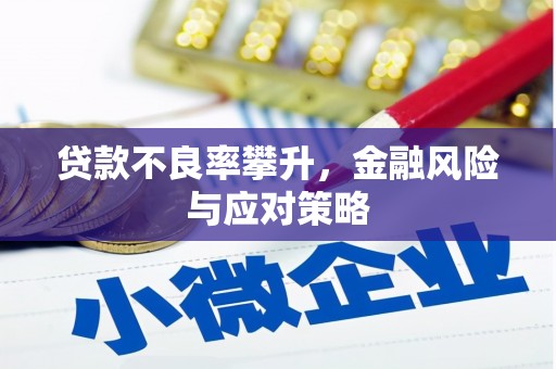 固始贷款不良率攀升，金融风险与应对策略