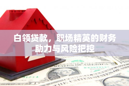 固始白领贷款，职场精英的财务助力与风险把控